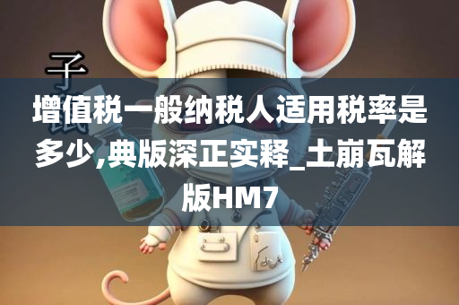 增值税一般纳税人适用税率是多少,典版深正实释_土崩瓦解版HM7