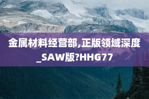 金属材料经营部,正版领域深度_SAW版?HHG77