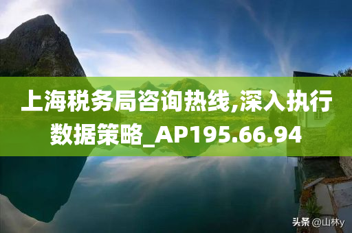 上海税务局咨询热线,深入执行数据策略_AP195.66.94