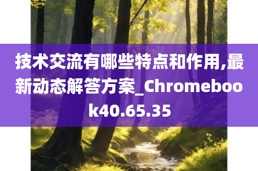 技术交流有哪些特点和作用,最新动态解答方案_Chromebook40.65.35