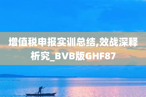 增值税申报实训总结,效战深释析究_BVB版GHF87