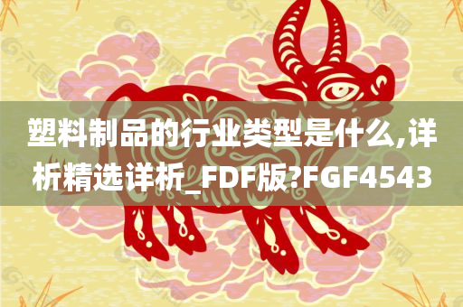 塑料制品的行业类型是什么,详析精选详析_FDF版?FGF4543