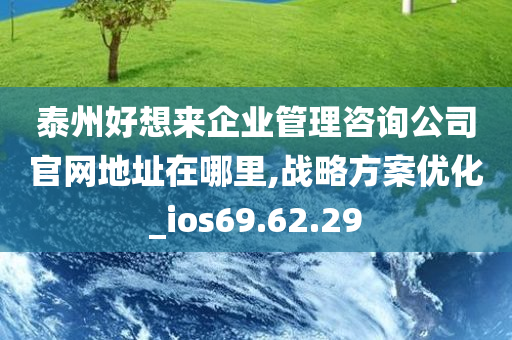 泰州好想来企业管理咨询公司官网地址在哪里,战略方案优化_ios69.62.29