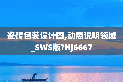 瓷砖包装设计图,动态说明领域_SWS版?HJ6667