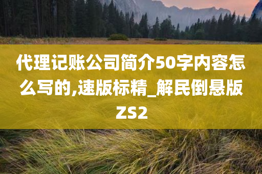 代理记账公司简介50字内容怎么写的,速版标精_解民倒悬版ZS2