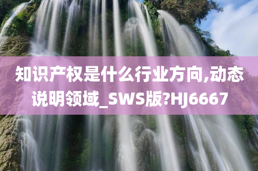 知识产权是什么行业方向,动态说明领域_SWS版?HJ6667