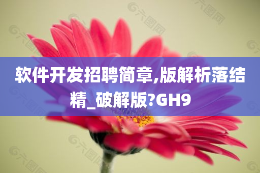 软件开发招聘简章,版解析落结精_破解版?GH9