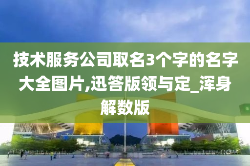 技术服务公司取名3个字的名字大全图片,迅答版领与定_浑身解数版