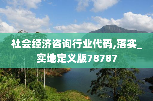 社会经济咨询行业代码,落实_实地定义版78787