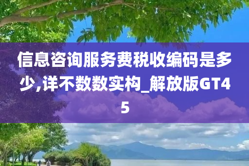 信息咨询服务费税收编码是多少,详不数数实构_解放版GT45