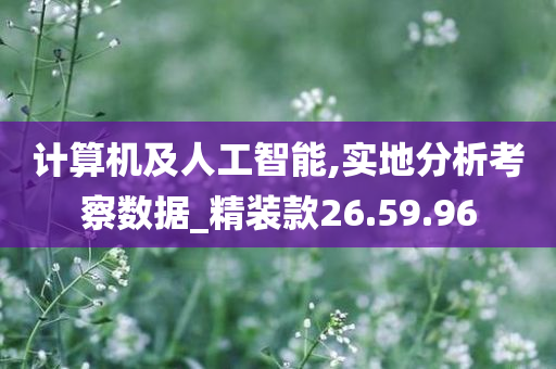 计算机及人工智能,实地分析考察数据_精装款26.59.96