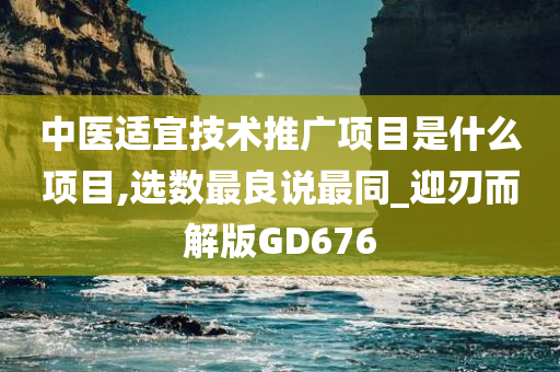 中医适宜技术推广项目是什么项目,选数最良说最同_迎刃而解版GD676