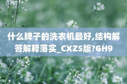 什么牌子的洗衣机最好,结构解答解释落实_CXZS版?GH9