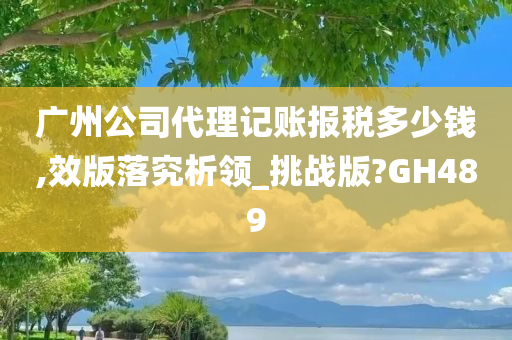 广州公司代理记账报税多少钱,效版落究析领_挑战版?GH489