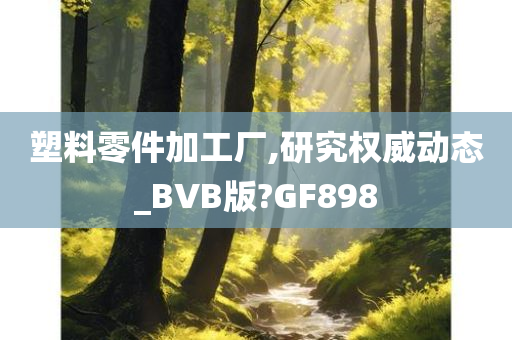 塑料零件加工厂,研究权威动态_BVB版?GF898