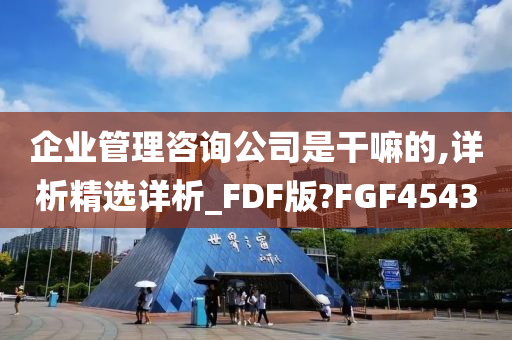 企业管理咨询公司是干嘛的,详析精选详析_FDF版?FGF4543