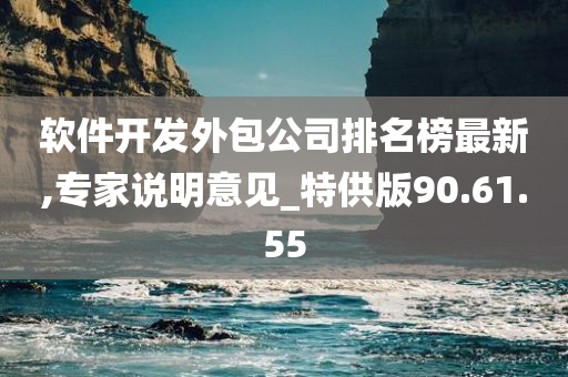 软件开发外包公司排名榜最新,专家说明意见_特供版90.61.55