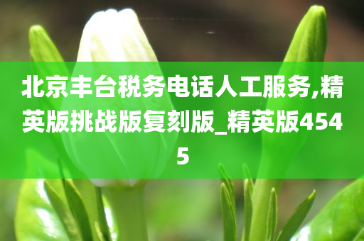 北京丰台税务电话人工服务,精英版挑战版复刻版_精英版4545