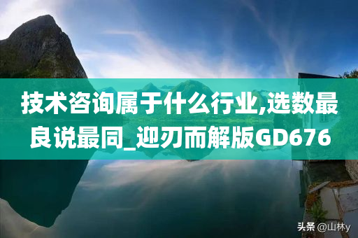 技术咨询属于什么行业,选数最良说最同_迎刃而解版GD676