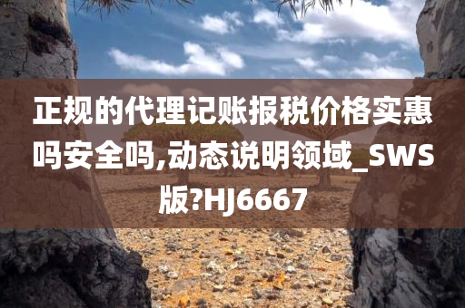 正规的代理记账报税价格实惠吗安全吗,动态说明领域_SWS版?HJ6667