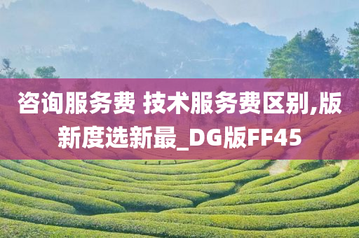 咨询服务费 技术服务费区别,版新度选新最_DG版FF45