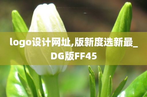 logo设计网址,版新度选新最_DG版FF45