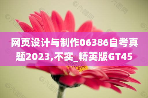 网页设计与制作06386自考真题2023,不实_精英版GT45