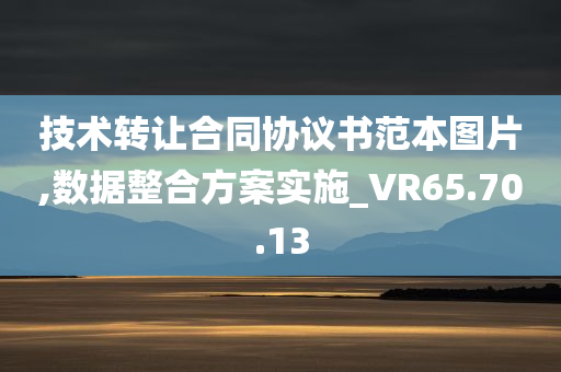 技术转让合同协议书范本图片,数据整合方案实施_VR65.70.13