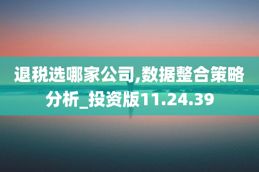 退税选哪家公司,数据整合策略分析_投资版11.24.39