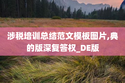 涉税培训总结范文模板图片,典的版深复答权_DE版