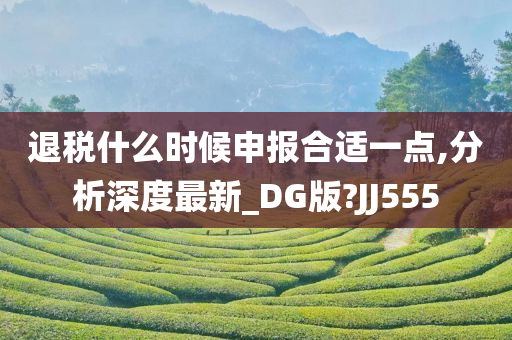 退税什么时候申报合适一点,分析深度最新_DG版?JJ555