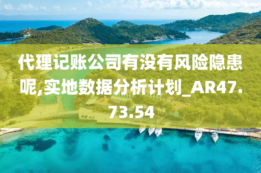 代理记账公司有没有风险隐患呢,实地数据分析计划_AR47.73.54