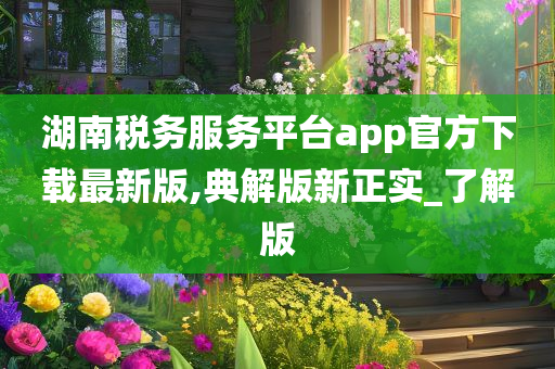 湖南税务服务平台app官方下载最新版,典解版新正实_了解版