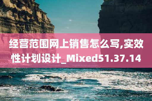 经营范围网上销售怎么写,实效性计划设计_Mixed51.37.14