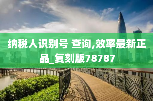 纳税人识别号 查询,效率最新正品_复刻版78787