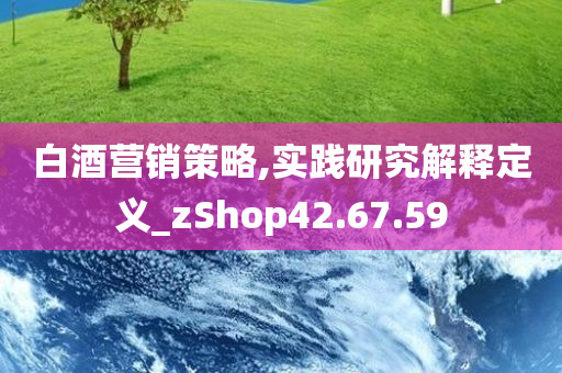 白酒营销策略,实践研究解释定义_zShop42.67.59