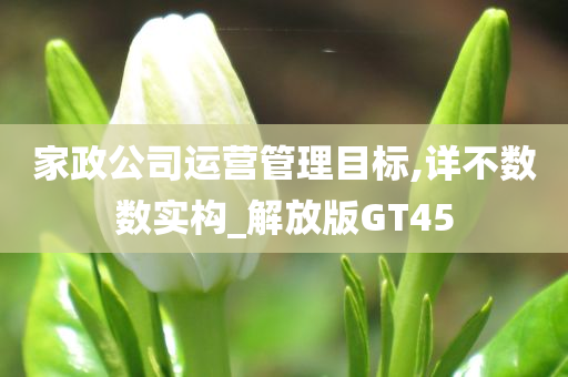 家政公司运营管理目标,详不数数实构_解放版GT45