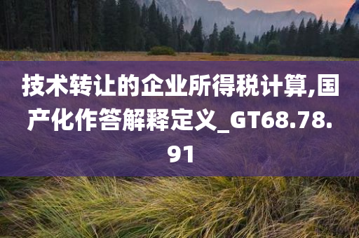 技术转让的企业所得税计算,国产化作答解释定义_GT68.78.91