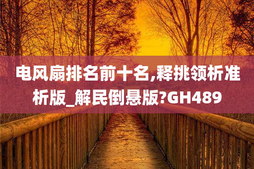 电风扇排名前十名,释挑领析准析版_解民倒悬版?GH489