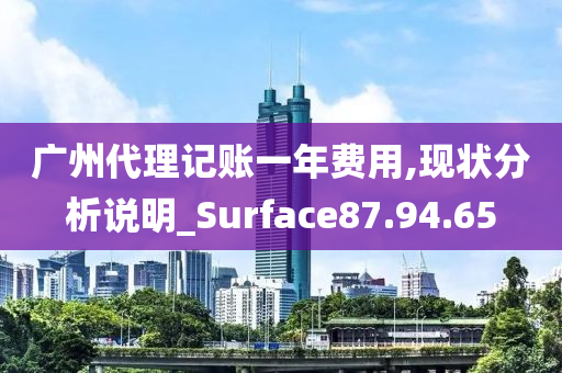 广州代理记账一年费用,现状分析说明_Surface87.94.65