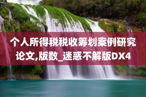 个人所得税税收筹划案例研究论文,版数_迷惑不解版DX4