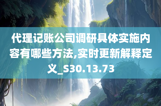 代理记账公司调研具体实施内容有哪些方法,实时更新解释定义_S30.13.73