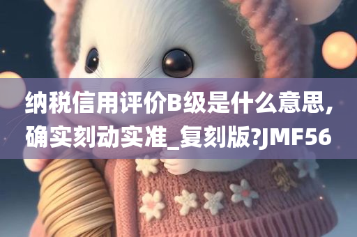 纳税信用评价B级是什么意思,确实刻动实准_复刻版?JMF56