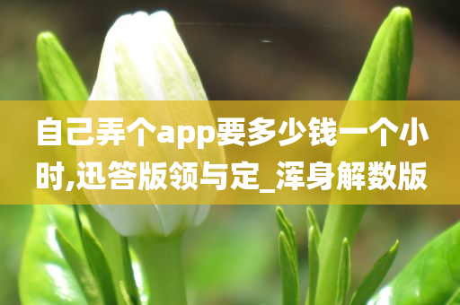 自己弄个app要多少钱一个小时,迅答版领与定_浑身解数版