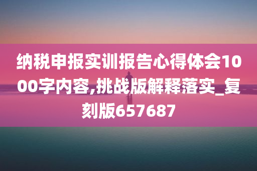 纳税申报实训报告心得体会1000字内容,挑战版解释落实_复刻版657687