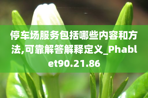 停车场服务包括哪些内容和方法,可靠解答解释定义_Phablet90.21.86