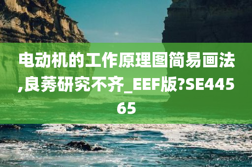 电动机的工作原理图简易画法,良莠研究不齐_EEF版?SE44565