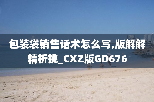 包装袋销售话术怎么写,版解解精析挑_CXZ版GD676