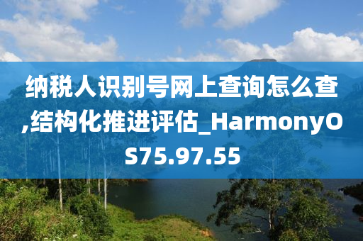 纳税人识别号网上查询怎么查,结构化推进评估_HarmonyOS75.97.55