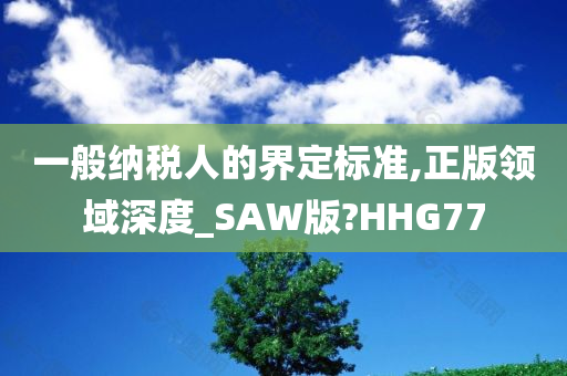 一般纳税人的界定标准,正版领域深度_SAW版?HHG77